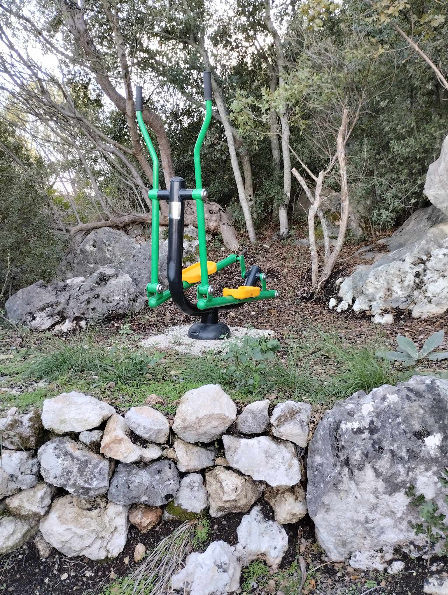 Φωτογραφία 6